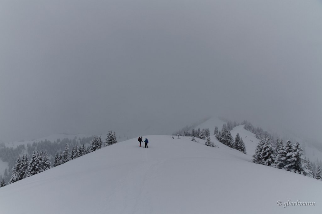 20140216_078